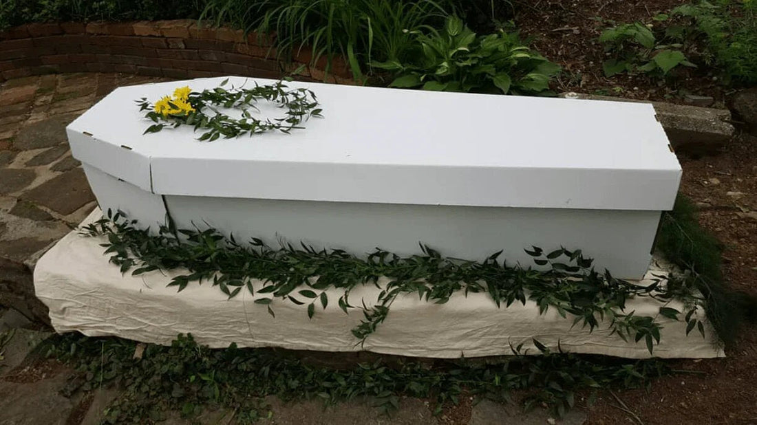 Cardboard Caskets: A Sustainable and Dignified Choice For Eco-Friendly Funerals