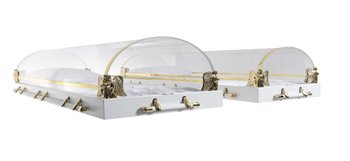 Clear Casket Gold Oversized