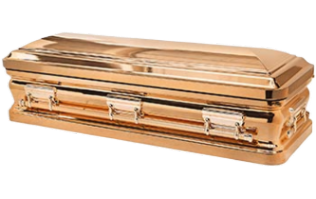 Copper Chrome casket — gold copper with white velvet interior