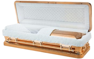Copper Chrome casket — gold copper with white velvet interior (view 2)