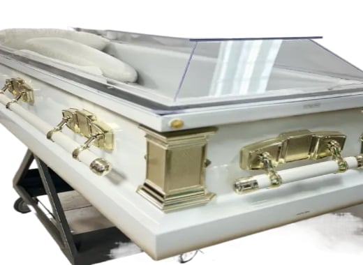 Clear Casket White and Gold — white velvet interior
