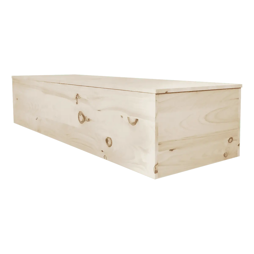 Eco Friendly Casket — wood (view 2)