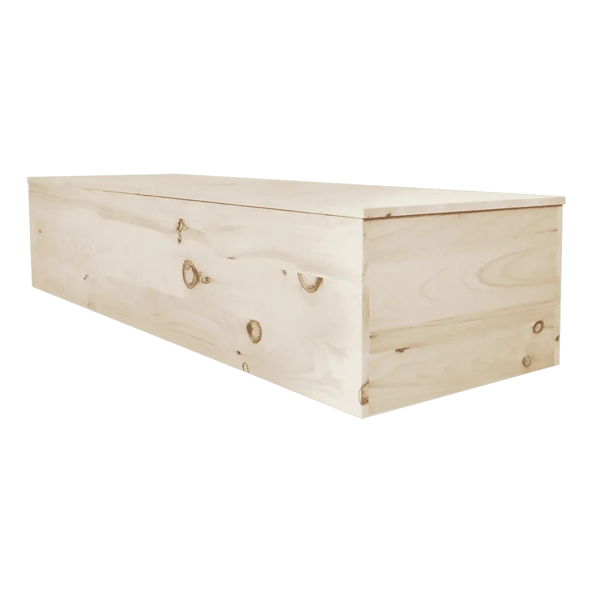 Eco Friendly Casket — wood (view 2)