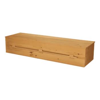 Plain Pine Eco Friendly Casket