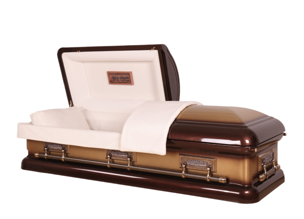 Mars Pieta Jewell casket — bronze 18-gauge steel with ivory velvet interior (view 2)