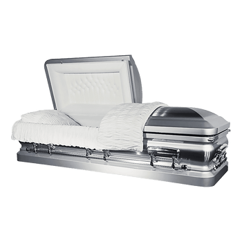 Orion Series Silver Brush
