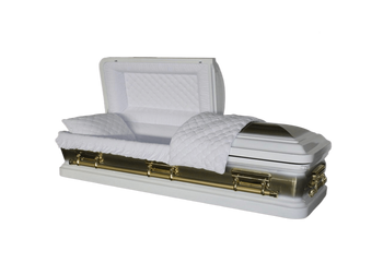Orion Series White and Gold Brush
