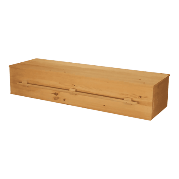 Plain Pine Eco Friendly Casket