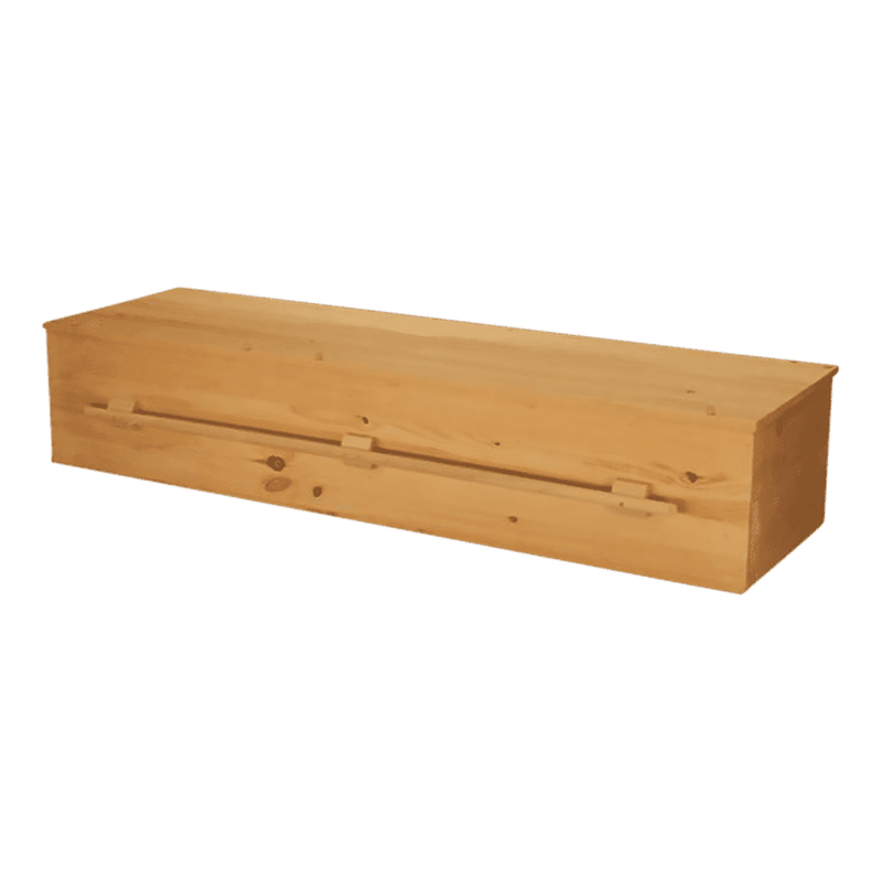Plain Pine Eco Friendly Casket